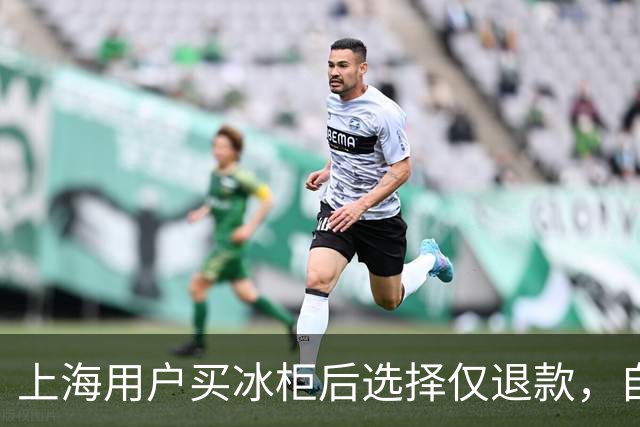 上海用户买冰柜后选择仅退款，自称冰柜"已销毁"无法退货，商家跨省索要后发现冰柜正插电使用，结局亮了