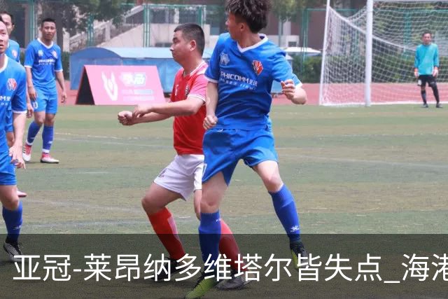 亚冠-莱昂纳多维塔尔皆失点 海港爆冷2-3河内公安遭首败
