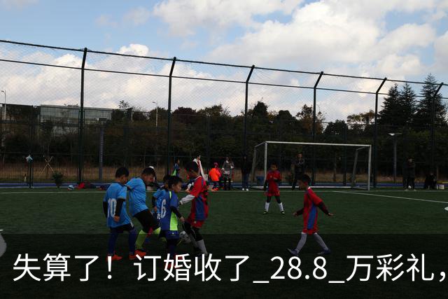 失算了！订婚收了 28.8 万彩礼，女生转头全款买了一套属于自己的小公寓，男方得知后坚持退婚