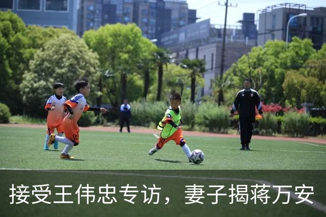 接受王伟忠专访，妻子揭蒋万安“脆弱一面”：曾为长子遭攻击落泪