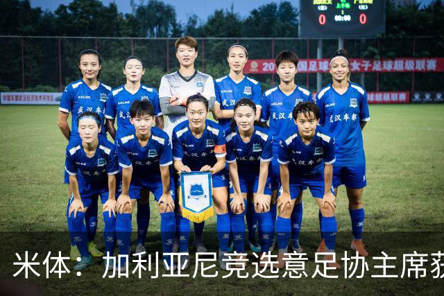 米体：加利亚尼竞选意足协主席获两大协会力挺