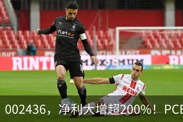 002436，净利大增超200%！PCB，业绩集体爆发